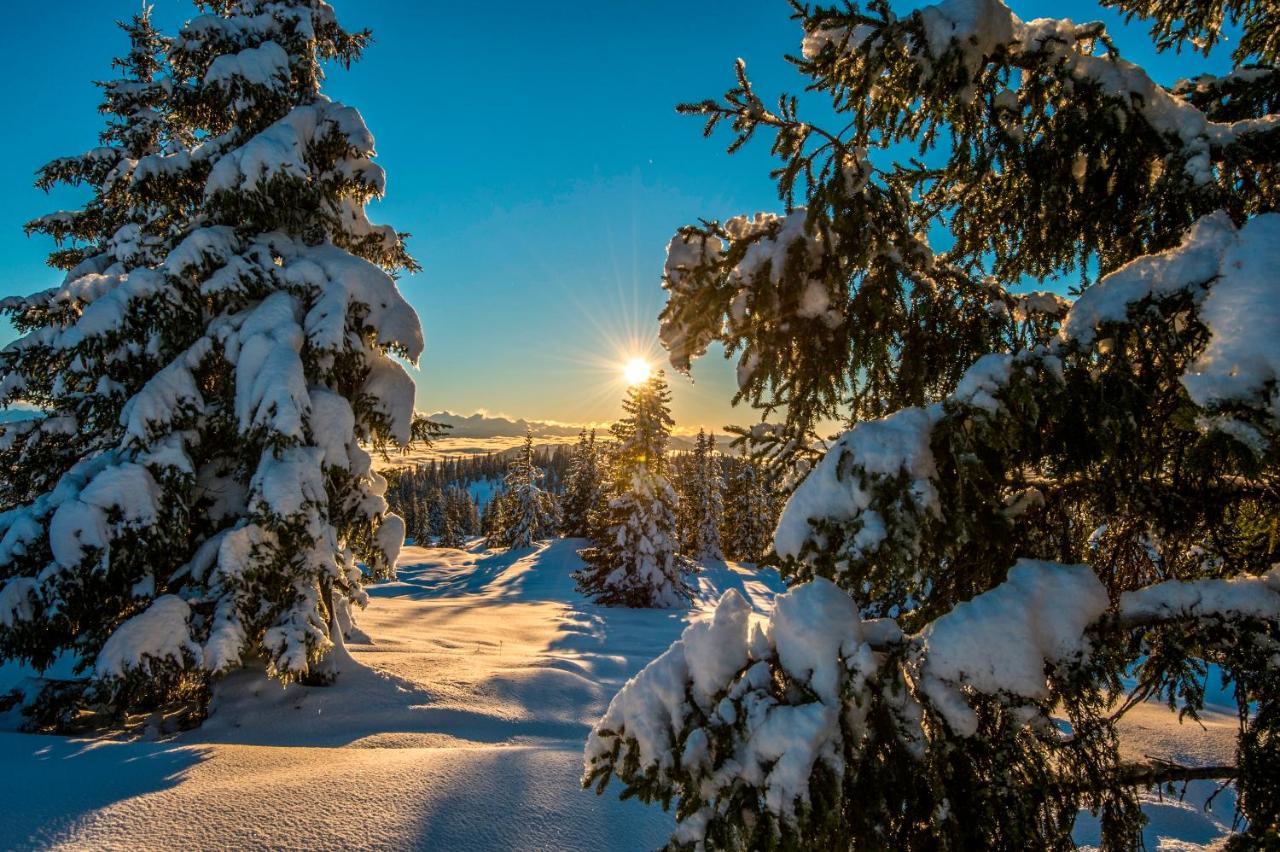 Biberhof Villa Radstadt Kültér fotó